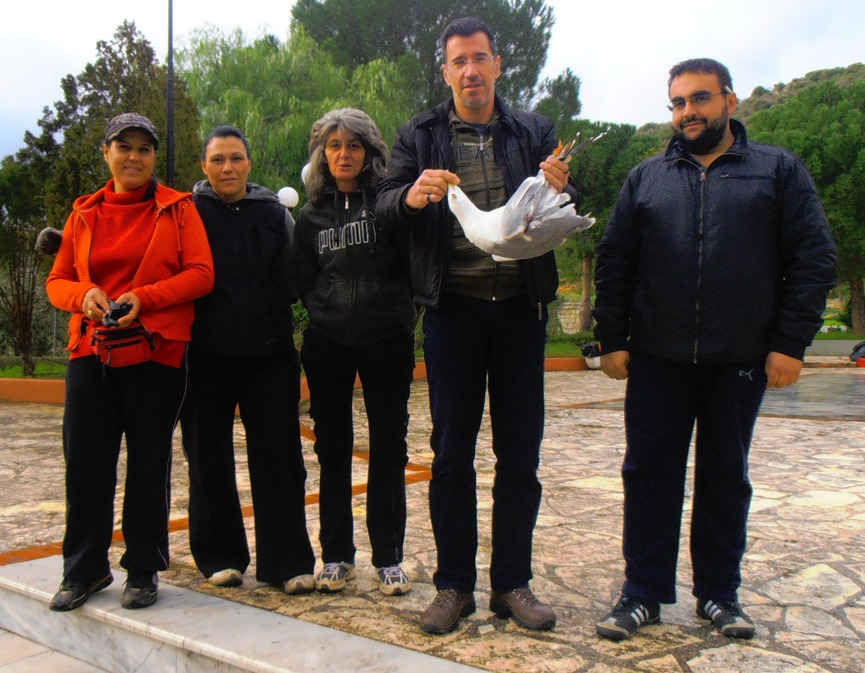 Τραυματισμένος ασημόγλαρος στα Κούτρουφα Κυνουρίας