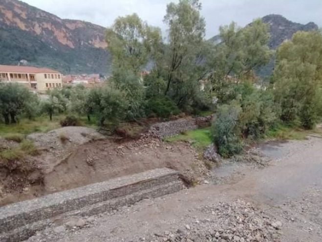 Έ&rho;&gamma;&alpha; &pi;&rho;&omicron;&sigma;&tau;&alpha;&sigma;ί&alpha;&sigmaf; &tau;&eta;&sigmaf; &kappa;&omicron;ί&tau;&eta;&sigmaf; &tau;&omicron;&upsilon; &pi;&omicron;&tau;&alpha;&mu;&omicron;ύ &Delta;&alpha;&phi;&nu;ώ&nu;&alpha; &sigma;&tau;&omicron; &Lambda;&epsilon;&omega;&nu;ί&delta;&iota;&omicron;