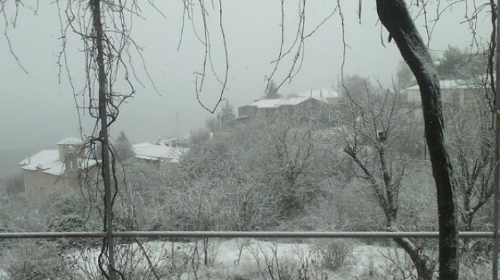 Εντυπωσιακό το χιονισμένο Αγρίδι στη Γορτυνία! (εικόνες)