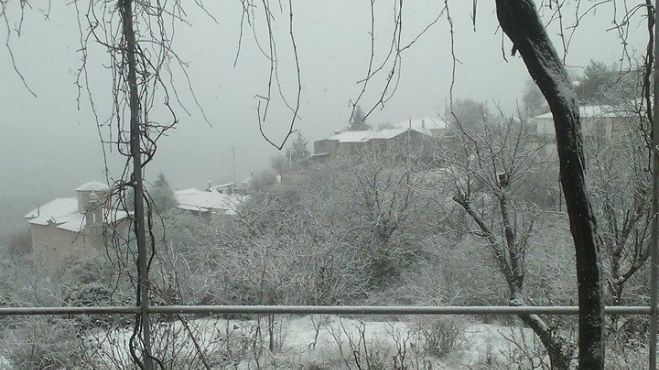 Εντυπωσιακό το χιονισμένο Αγρίδι στη Γορτυνία! (εικόνες)