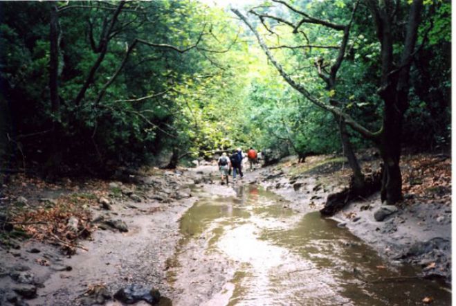 Γορτυνία | Συμφωνητικό για κατασκευή γέφυρας στον ποταμό Τουθόα