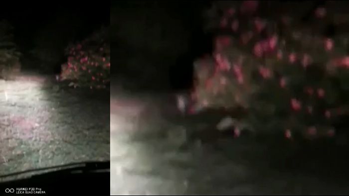 &Alpha;&pi;ί&sigma;&tau;&epsilon;&upsilon;&tau;&omicron; | &Alpha;&gamma;&rho;&iota;&omicron;&gamma;&omicron;ύ&rho;&omicron;&upsilon;&nu;&omicron; &epsilon;&mu;&phi;&alpha;&nu;ί&sigma;&theta;&eta;&kappa;&epsilon; &sigma;&tau;&omicron; &Alpha;&rho;&chi;&alpha;ί&omicron; &Theta;έ&alpha;&tau;&rho;&omicron; &tau;&eta;&sigmaf; &Epsilon;&pi;&iota;&delta;&alpha;ύ&rho;&omicron;&upsilon; (vd)