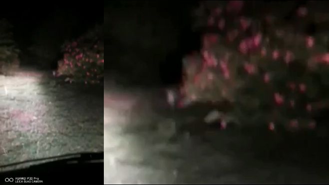 &Alpha;&pi;ί&sigma;&tau;&epsilon;&upsilon;&tau;&omicron; | &Alpha;&gamma;&rho;&iota;&omicron;&gamma;&omicron;ύ&rho;&omicron;&upsilon;&nu;&omicron; &epsilon;&mu;&phi;&alpha;&nu;ί&sigma;&theta;&eta;&kappa;&epsilon; &sigma;&tau;&omicron; &Alpha;&rho;&chi;&alpha;ί&omicron; &Theta;έ&alpha;&tau;&rho;&omicron; &tau;&eta;&sigmaf; &Epsilon;&pi;&iota;&delta;&alpha;ύ&rho;&omicron;&upsilon; (vd)