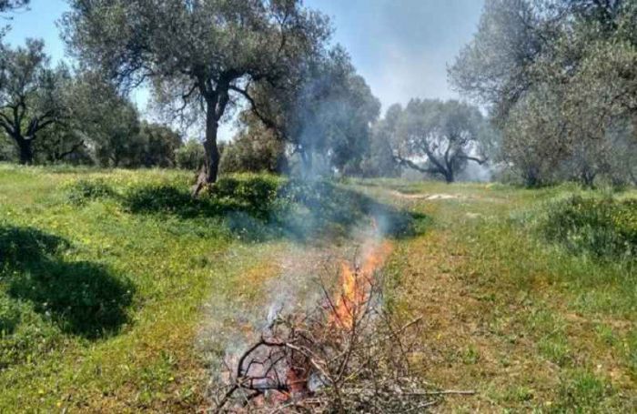 &Alpha;&rho;&kappa;&alpha;&delta;ί&alpha; | &Pi;&omicron;&lambda;&lambda;έ&sigmaf; &phi;&omega;&tau;&iota;έ&sigmaf; &alpha;&pi;ό &kappa;&alpha;ύ&sigma;&eta; &kappa;&lambda;&alpha;&delta;&epsilon;&mu;ά&tau;&omega;&nu; &tau;&omicron; &tau;&epsilon;&lambda;&epsilon;&upsilon;&tau;&alpha;ί&omicron; &delta;&iota;ά&sigma;&tau;&eta;&mu;&alpha; - &Tau;&omicron; &mu;ή&nu;&upsilon;&mu;&alpha; &tau;&eta;&sigmaf; &Pi;&upsilon;&rho;&omicron;&sigma;&beta;&epsilon;&sigma;&tau;&iota;&kappa;ή&sigmaf;