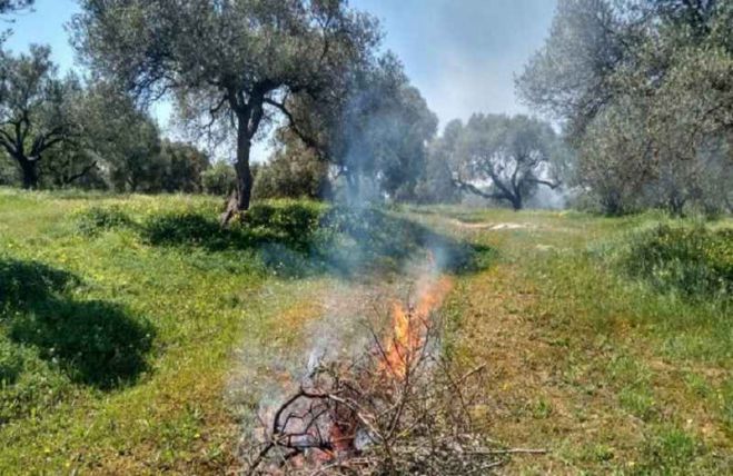 &Alpha;&rho;&kappa;&alpha;&delta;ί&alpha; | &Pi;&omicron;&lambda;&lambda;έ&sigmaf; &phi;&omega;&tau;&iota;έ&sigmaf; &alpha;&pi;ό &kappa;&alpha;ύ&sigma;&eta; &kappa;&lambda;&alpha;&delta;&epsilon;&mu;ά&tau;&omega;&nu; &tau;&omicron; &tau;&epsilon;&lambda;&epsilon;&upsilon;&tau;&alpha;ί&omicron; &delta;&iota;ά&sigma;&tau;&eta;&mu;&alpha; - &Tau;&omicron; &mu;ή&nu;&upsilon;&mu;&alpha; &tau;&eta;&sigmaf; &Pi;&upsilon;&rho;&omicron;&sigma;&beta;&epsilon;&sigma;&tau;&iota;&kappa;ή&sigmaf;