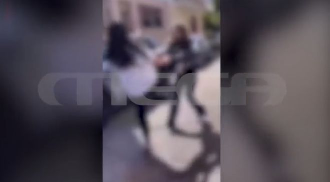 &Nu;έ&omicron; &beta;ί&nu;&tau;&epsilon;&omicron; &ndash; &nu;&tau;&omicron;&kappa;&omicron;&upsilon;&mu;έ&nu;&tau;&omicron; &alpha;&pi;ό &tau;&omicron;&nu; ά&gamma;&rho;&iota;&omicron; &xi;&upsilon;&lambda;&omicron;&delta;&alpha;&rho;&mu;ό 13&chi;&rho;&omicron;&nu;&eta;&sigmaf; &sigma;&tau;&omicron;&nu; &Pi;ύ&rho;&gamma;&omicron; (vd)