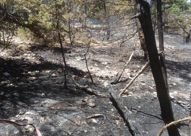 Σβήστηκε η φωτιά κοντά στα χωριά Μαρί και Κουνουπιά