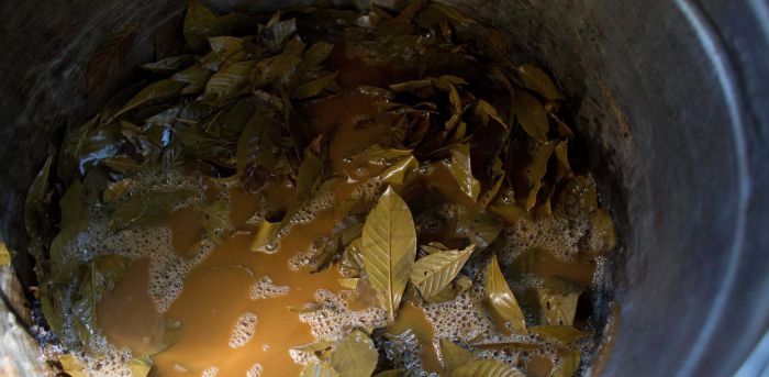 &Sigma;&alpha;&mu;&alpha;&nu;&iota;&sigma;&tau;έ&sigmaf; - &Theta;ά&nu;&alpha;&tau;&omicron;&sigmaf; 34&chi;&rho;&omicron;&nu;&eta;&sigmaf; &sigma;&tau;&eta;&nu; &Kappa;ύ&pi;&rho;&omicron; | Ή&pi;&iota;&alpha;&nu; &tau;&omicron; &laquo;&rho;ό&phi;&eta;&mu;&alpha; &tau;&omicron;&upsilon; &theta;&alpha;&nu;ά&tau;&omicron;&upsilon;&raquo; &gamma;&iota;&alpha; &nu;&alpha; &epsilon;&xi;&alpha;&gamma;&nu;ί&sigma;&omicron;&upsilon;&nu; &tau;&eta;&nu; &psi;&upsilon;&chi;ή &tau;&omicron;&upsilon;&sigmaf;