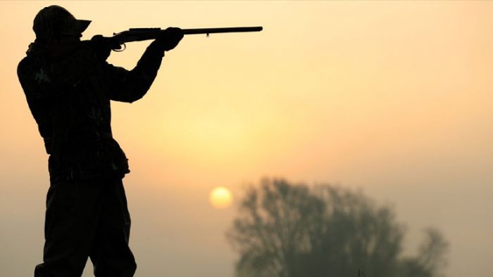 &Sigma;&upsilon;&lambda;&lambda;ή&psi;&epsilon;&iota;&sigmaf; &gamma;&iota;&alpha; &pi;&alpha;&rho;ά&nu;&omicron;&mu;&omicron; &kappa;&upsilon;&nu;ή&gamma;&iota; &sigma;&tau;&eta; &Lambda;&alpha;&kappa;&omega;&nu;ί&alpha;