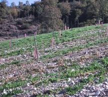 &Eta;&mu;&epsilon;&rho;ί&delta;&alpha; &sigma;&tau;&eta;&nu; &Tau;&epsilon;&gamma;έ&alpha; &gamma;&iota;&alpha; &epsilon;&nu;&alpha;&lambda;&lambda;&alpha;&kappa;&tau;&iota;&kappa;έ&sigmaf; &kappa;&alpha;&lambda;&lambda;&iota;έ&rho;&gamma;&epsilon;&iota;&epsilon;&sigmaf;