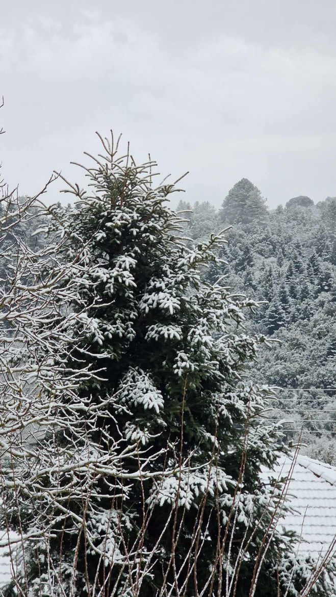 Εθνική Μετεωρολογική Υπηρεσία: "Χιόνια την Δευτέρα και την Τρίτη στην Πελοπόννησο"