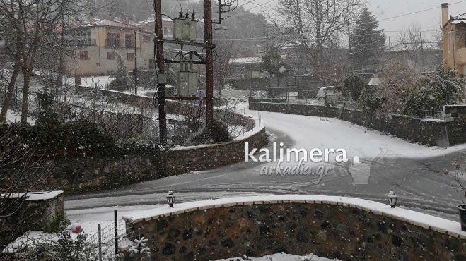 &Pi;&upsilon;&kappa;&nu;ή &chi;&iota;&omicron;&nu;ό&pi;&tau;&omega;&sigma;&eta; &sigma;&tau;&eta;&nu; &Alpha;&sigma;έ&alpha; &Alpha;&rho;&kappa;&alpha;&delta;ί&alpha;&sigmaf; (&epsilon;&iota;&kappa;ό&nu;&epsilon;&sigmaf;)