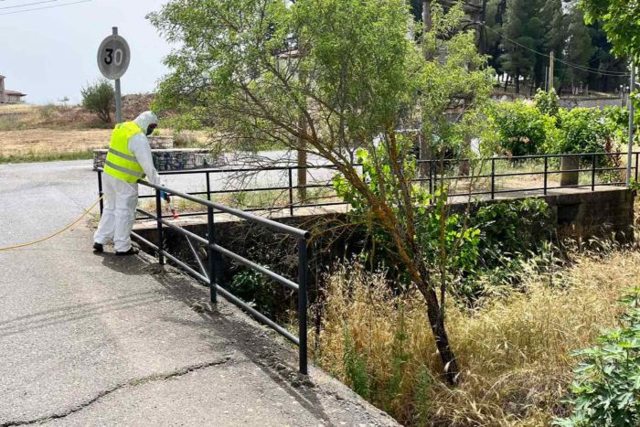 Ενημερωτική δράση για τους τρόπους πρόληψης κατά των κουνουπιών στα δημοτικά σχολεία του Δήμου Τρίπολης