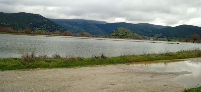 Διακοπή κυκλοφορίας στη Δημοτική Οδό Ορχομενού – Λίμνης