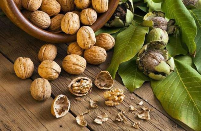 &Gamma;&iota;&omicron;&rho;&tau;ή &kappa;&alpha;&rho;&upsilon;&delta;&iota;&omicron;ύ &sigma;&tau;&eta;&nu; &Kappa;&epsilon;&rho;&pi;&iota;&nu;ή &Gamma;&omicron;&rho;&tau;&upsilon;&nu;ί&alpha;&sigmaf;