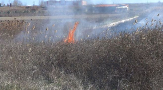 Υψηλός κίνδυνος πυρκαγιάς σήμερα και το Σάββατο στην Αρκαδία