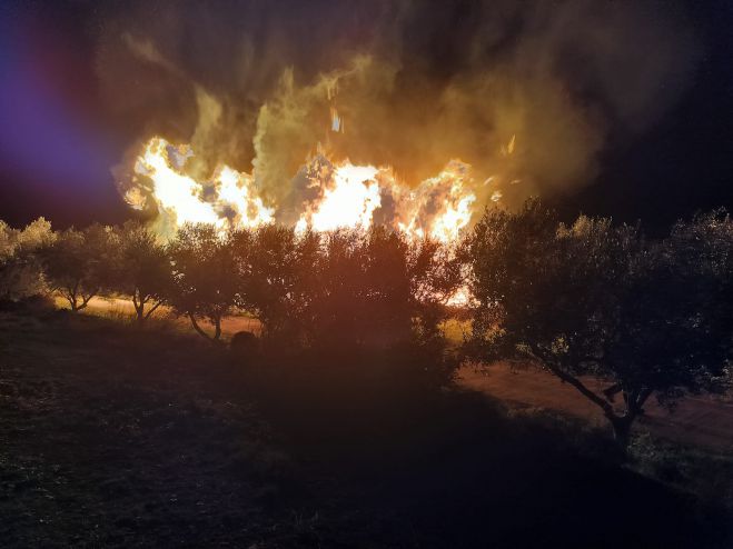 Πυρκαγιά ξέσπασε στην περιοχή του Λεωνιδίου - "Ευχαριστώ" Δολιανίτη σε Πυροσβεστική και εθελοντές για την άμεση κατάσβεση!
