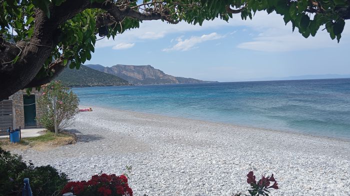 &Epsilon;&lambda;&lambda;&eta;&nu;&iota;&kappa;ό &kappa;&alpha;&lambda;&omicron;&kappa;&alpha;ί&rho;&iota; &sigma;&tau;&alpha; &Pi;&omicron;ύ&lambda;&iota;&theta;&rho;&alpha; &Alpha;&rho;&kappa;&alpha;&delta;ί&alpha;&sigmaf; (&epsilon;&iota;&kappa;ό&nu;&epsilon;&sigmaf;)