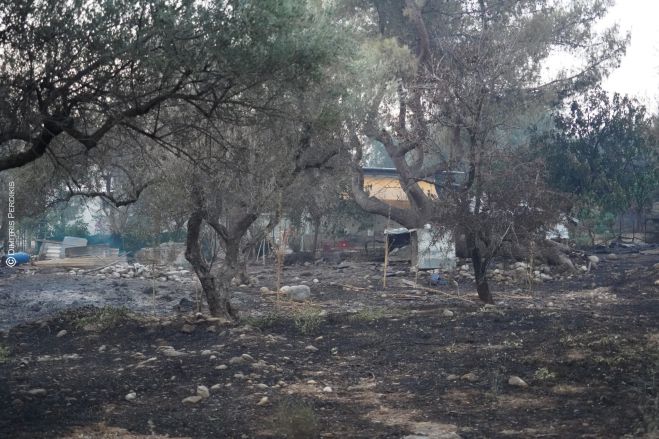 &Alpha;&pi;&omicron;&zeta;&eta;&mu;&iota;ώ&sigma;&epsilon;&iota;&sigmaf; &sigma;&tau;&omicron; 100% &tau;&omega;&nu; &zeta;&eta;&mu;&iota;ώ&nu; &alpha;&pi;ό &tau;&iota;&sigmaf; &phi;&omega;&tau;&iota;έ&sigmaf; &zeta;&eta;&tau;&omicron;ύ&nu; &Alpha;&gamma;&rho;&omicron;&tau;&iota;&kappa;&omicron;ί &Sigma;ύ&lambda;&lambda;&omicron;&gamma;&omicron;&iota; &sigma;&tau;&eta;&nu; &Pi;&epsilon;&lambda;&omicron;&pi;ό&nu;&nu;&eta;&sigma;&omicron;