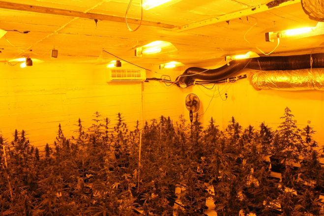 &Pi;ά&nu;&omega; &alpha;&pi;ό έ&xi;&iota; &kappa;&iota;&lambda;ά &kappa;ά&nu;&nu;&alpha;&beta;&eta;&sigmaf; &kappa;&alpha;&iota; &epsilon;&xi;&omicron;&pi;&lambda;&iota;&sigma;&mu;ό&sigmaf; &upsilon;&delta;&rho;&omicron;&pi;&omicron;&nu;&iota;&kappa;ή&sigmaf; &kappa;&alpha;&lambda;&lambda;&iota;έ&rho;&gamma;&epsilon;&iota;&alpha;&sigmaf; &sigma;&tau;&eta;&nu; &Kappa;&omicron;&rho;&iota;&nu;&theta;ί&alpha;