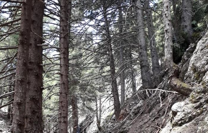 &Pi;&epsilon;&rho;&iota;&pi;&omicron;&lambda;ί&epsilon;&sigmaf; &sigma;&tau;&omicron; &Mu;&alpha;ί&nu;&alpha;&lambda;&omicron; | &Kappa;ά&lambda;&epsilon;&sigma;&mu;&alpha; &gamma;&iota;&alpha; &epsilon;&theta;&epsilon;&lambda;&omicron;&nu;&tau;&iota;&kappa;ή &sigma;&upsilon;&mu;&mu;&epsilon;&tau;&omicron;&chi;ή