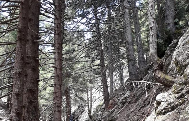 &Pi;&epsilon;&rho;&iota;&pi;&omicron;&lambda;ί&epsilon;&sigmaf; &sigma;&tau;&omicron; &Mu;&alpha;ί&nu;&alpha;&lambda;&omicron; | &Kappa;ά&lambda;&epsilon;&sigma;&mu;&alpha; &gamma;&iota;&alpha; &epsilon;&theta;&epsilon;&lambda;&omicron;&nu;&tau;&iota;&kappa;ή &sigma;&upsilon;&mu;&mu;&epsilon;&tau;&omicron;&chi;ή