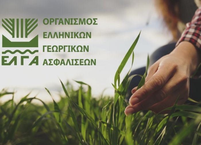 Παγετός με θερμοκρασίες ως -6,88 οC &quot;έκαψε&quot; καλλιέργειες στην Αρκαδία