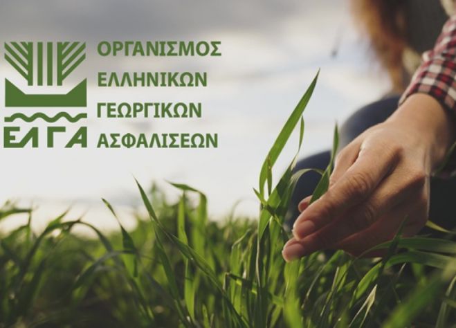 Παγετός με θερμοκρασίες ως -6,88 οC &quot;έκαψε&quot; καλλιέργειες στην Αρκαδία