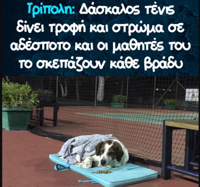 Παράδειγμα προς μίμηση | Viral η φωτογραφία με αδεσποτάκι που φροντίζουν στο τένις της ΑΕΚ Τρίπολης!
