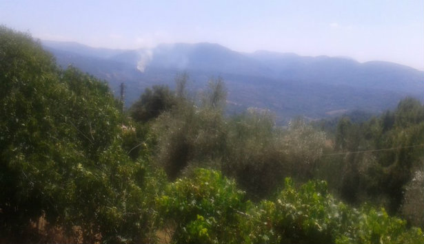 &Sigma;&beta;ή&sigma;&tau;&eta;&kappa;&epsilon; &eta; &phi;&omega;&tau;&iota;ά &sigma;&tau;&eta; &Gamma;&omicron;&rho;&tau;&upsilon;&nu;ί&alpha; (&phi;&omega;&tau;&omicron;)