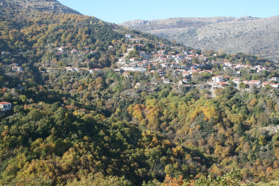 Έξι σπίτια μέσα σε μία νύχτα «άνοιξαν» διαρρήκτες στα Άνω Δολιανά της Κυνουρίας!