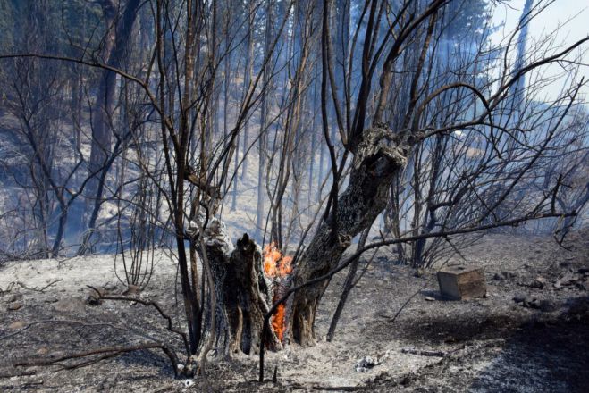 &Sigma;&upsilon;&gamma;&kappa;&lambda;&omicron;&nu;ί&zeta;&epsilon;&iota; &mu;&epsilon;&lambda;&iota;&sigma;&sigma;&omicron;&kappa;ό&mu;&omicron;&sigmaf;: &laquo;&Psi;&upsilon;&chi;&omicron;ύ&lambda;&epsilon;&sigmaf; &mu;&omicron;&upsilon; ό&mu;&omicron;&rho;&phi;&epsilon;&sigmaf;, &kappa;&omicron;&rho;&iota;&tau;&sigma;ά&kappa;&iota;&alpha; &mu;&omicron;&upsilon; &gamma;&lambda;&upsilon;&kappa;ά&raquo;
