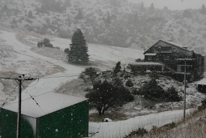 &Sigma;&tau;&alpha; ... &lambda;&epsilon;&upsilon;&kappa;ά &tau;&omicron; &kappa;&lambda;&epsilon;&iota;&sigma;&tau;ό &Chi;&iota;&omicron;&nu;&omicron;&delta;&rho;&omicron;&mu;&iota;&kappa;ό &Kappa;έ&nu;&tau;&rho;&omicron; &Mu;&alpha;&iota;&nu;ά&lambda;&omicron;&upsilon; (&epsilon;&iota;&kappa;ό&nu;&epsilon;&sigmaf;)