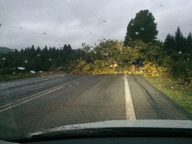 Γορτυνία | Έπεσαν δένδρα και έκλεισαν προσωρινά την εθνική οδό &quot;Τρίπολης - Πύργου&quot;