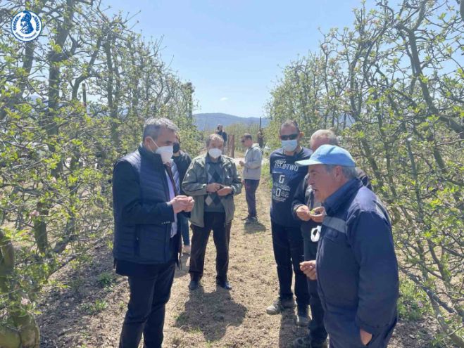 Ζημιές από τον παγετό σε καλλιέργειες της Τεγέας | Τζιούμης: «Είμαστε πάντα στο πλευρό των αγροτών μας»