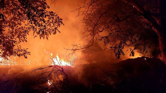 Πυρκαγιά στα Προσήλια Κυνουρίας - Ελεγχόμενη η κατάσταση