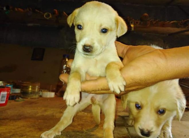 &Alpha;&upsilon;&tau;ά &tau;&alpha; &pi;&alpha;&nu;έ&mu;&omicron;&rho;&phi;&alpha; &kappa;&omicron;&upsilon;&tau;&alpha;&beta;ά&kappa;&iota;&alpha; &beta;&rho;έ&theta;&eta;&kappa;&alpha;&nu; &pi;&alpha;&rho;&alpha;&tau;&eta;&mu;έ&nu;&alpha; &sigma;&tau;&eta;&nu; &Tau;&rho;ί&pi;&omicron;&lambda;&eta; - &Theta;&epsilon;&sigmaf; &nu;&alpha; &upsilon;&iota;&omicron;&theta;&epsilon;&tau;ή&sigma;&epsilon;&iota;&sigmaf;;