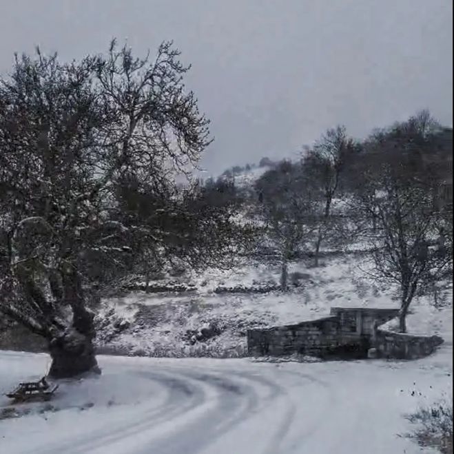 Κάτασπρα από το χιόνι τα Βέρβενα (εικόνες)