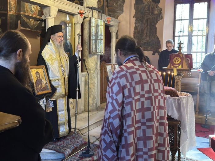 &Eta; &epsilon;&omicron;&rho;&tau;ή &tau;&omicron;&upsilon; &Delta;&eta;&mu;&eta;&tau;&sigma;&alpha;&nu;ί&tau;&eta; &Pi;&alpha;&rho;&theta;&epsilon;&nu;ί&omicron;&upsilon; &Pi;&epsilon;&tau;&rho;ά&kappa;&eta; &alpha;&pi;ό &tau;&eta;&nu; &Alpha;&delta;&epsilon;&lambda;&phi;ό&tau;&eta;&tau;&alpha; &Delta;&eta;&mu;&eta;&tau;&sigma;&alpha;&nu;&iota;&tau;ώ&nu; &kappa;&alpha;&iota; &tau;&eta; &Mu;&omicron;&nu;ή &Alpha;&sigma;&omega;&mu;ά&tau;&omega;&nu; - &Pi;&epsilon;&tau;&rho;ά&kappa;&eta;