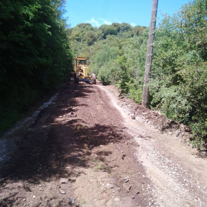 Μηχανήματα του Δήμου Γορτυνίας συντήρησαν αγροτικούς δρόμους στη Δημοτική Ενότητα Κλείτορος (εικόνες)