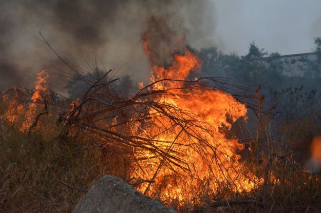 &Pi;&rho;ό&sigma;&tau;&iota;&mu;&omicron; έ&omega;&sigmaf; 500 &euro; &gamma;&iota;&alpha; &pi;&alpha;&rho;&alpha;&beta;&iota;ά&sigma;&epsilon;&iota;&sigmaf; &pi;&upsilon;&rho;&omicron;&pi;&rho;&omicron;&sigma;&tau;&alpha;&sigma;ί&alpha;&sigmaf; - &Tau;&iota; &nu;&alpha; &pi;&rho;&omicron;&sigma;έ&chi;&epsilon;&tau;&epsilon; - &Delta;&epsilon;ί&tau;&epsilon; &tau;&omicron;&nu; &pi;ί&nu;&alpha;&kappa;&alpha;
