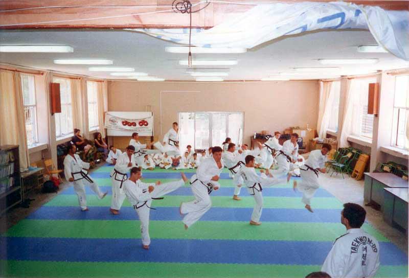 Tae Kwon DO  - &Mu;&epsilon;&tau;ά&lambda;&lambda;&iota;&alpha; &gamma;&iota;&alpha; &tau;&omicron;&nu; &Alpha;.&Sigma;. &Lambda;&epsilon;&omega;&nu;&iota;&delta;ί&omicron;&upsilon; &sigma;&tau;&omicron; &Pi;&alpha;&nu;&epsilon;&lambda;&lambda;ή&nu;&iota;&omicron; &Pi;&rho;&omega;&tau;ά&theta;&lambda;&eta;&mu;&alpha;!