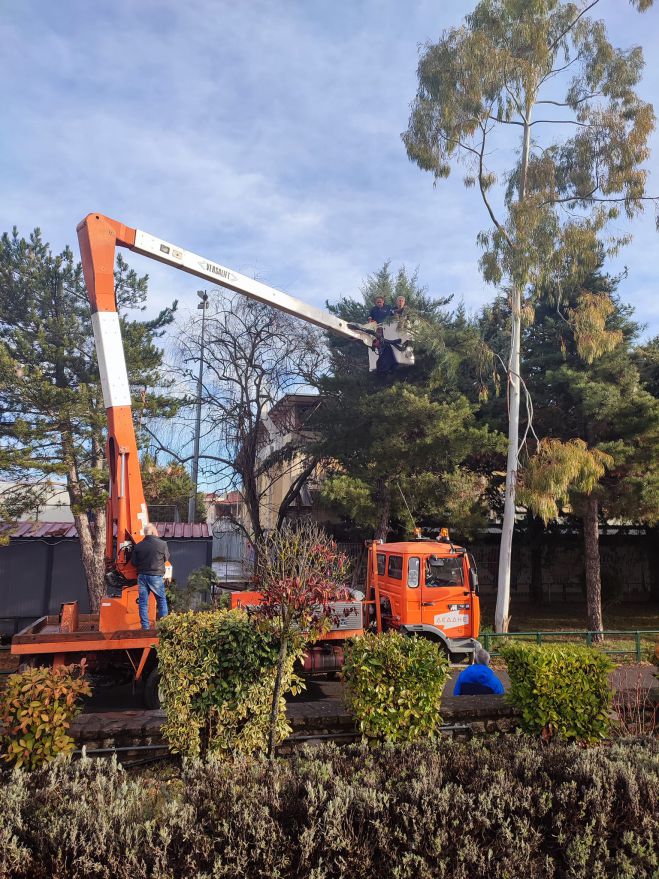&Alpha;&nu;&tau;&iota;&delta;ή&mu;&alpha;&rho;&chi;&omicron;&sigmaf; &Lambda;&alpha;&gamma;ό&sigmaf;: "&Phi;&rho;&omicron;&nu;&tau;ί&sigma;&alpha;&mu;&epsilon; &tau;&alpha; &delta;έ&nu;&delta;&rho;&alpha; &sigma;&tau;&eta;&nu; &epsilon;ί&sigma;&omicron;&delta;&omicron; &tau;&omicron;&upsilon; &Delta;&Alpha;&Kappa;. &Mu;ό&lambda;&iota;&sigmaf; &alpha;&rho;&chi;ί&sigma;&alpha;&mu;&epsilon;..."