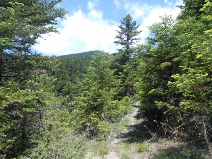 &Sigma;&epsilon; &Alpha;&lambda;&omega;&nu;ί&sigma;&tau;&alpha;&iota;&nu;&alpha; &kappa;&alpha;&iota; &Lambda;&epsilon;&beta;ί&delta;&iota; &omicron; &Epsilon;&Omicron;&Sigma; &Tau;&rho;ί&pi;&omicron;&lambda;&eta;&sigmaf;