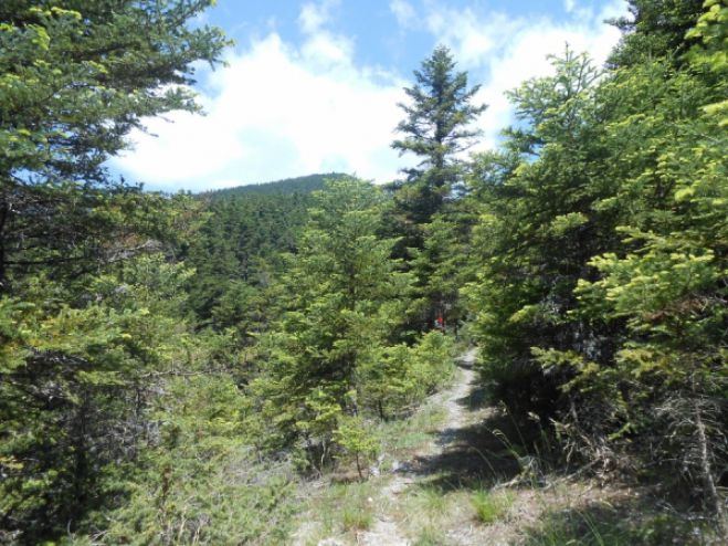 &Sigma;&epsilon; &Alpha;&lambda;&omega;&nu;ί&sigma;&tau;&alpha;&iota;&nu;&alpha; &kappa;&alpha;&iota; &Lambda;&epsilon;&beta;ί&delta;&iota; &omicron; &Epsilon;&Omicron;&Sigma; &Tau;&rho;ί&pi;&omicron;&lambda;&eta;&sigmaf;