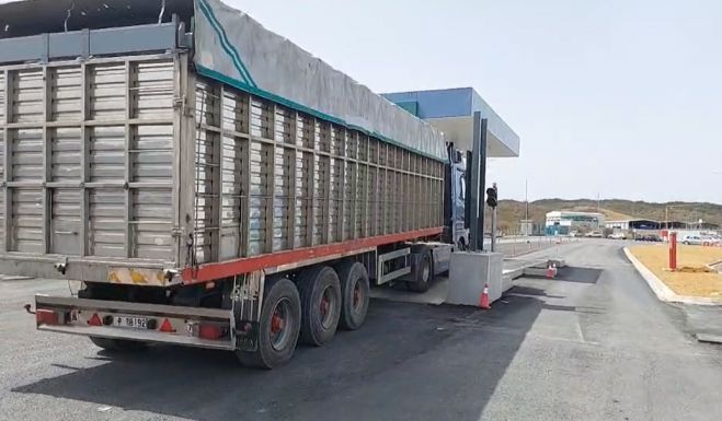 &Pi;έ&rho;&alpha;&sigma;&alpha;&nu; &sigma;&tau;&eta; &mu;&omicron;&nu;ά&delta;&alpha; &tau;&eta;&sigmaf; &Pi;&alpha;&lambda;&alpha;&iota;ό&chi;&omicron;&upsilon;&nu;&eta;&sigmaf; &tau;&alpha; &pi;&rho;ώ&tau;&alpha; &sigma;&kappa;&omicron;&upsilon;&pi;ί&delta;&iota;&alpha; &alpha;&pi;ό &tau;&eta; &Sigma;&pi;ά&rho;&tau;&eta; (vd)