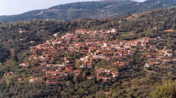 &Kappa;&omicron;&lambda;&lambda;ί&nu;&epsilon;&sigmaf; - &Epsilon;&sigma;&epsilon;ί&sigmaf; &xi;έ&rho;&epsilon;&tau;&epsilon; &tau;&iota; &sigma;&eta;&mu;&alpha;ί&nu;&omicron;&upsilon;&nu; &alpha;&upsilon;&tau;έ&sigmaf; &omicron;&iota; &phi;&rho;ά&sigma;&epsilon;&iota;&sigmaf;;