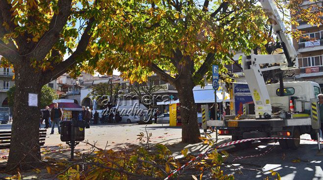 Καθαρισμός δένδρων σε πάρκα και πλατείες της Τρίπολης
