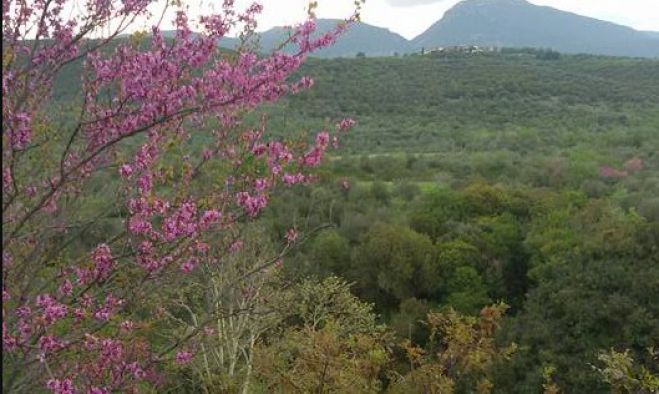 &Pi;&epsilon;&zeta;&omicron;&pi;&omicron;&rho;ί&alpha; &sigma;&tau;&alpha; &Kappa;&alpha;&kappa;&omicron;&upsilon;&rho;&alpha;ί&iota;&kappa;&alpha;!