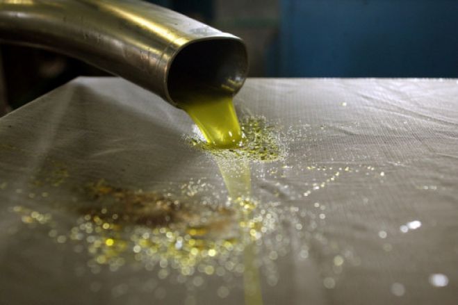Έ&phi;&epsilon;&sigma;&eta; &epsilon;&tau;&alpha;&iota;&rho;&epsilon;ί&alpha;&sigmaf; &gamma;&iota;&alpha; &tau;&eta;&nu; ά&mu;&epsilon;&sigma;&eta; &alpha;&nu;ά&kappa;&lambda;&eta;&sigma;&eta; &epsilon;&lambda;&alpha;&iota;ό&lambda;&alpha;&delta;&omicron;&upsilon; &alpha;&pi;ό &tau;&omicron;&nu; &Epsilon;&Phi;&Epsilon;&Tau;
